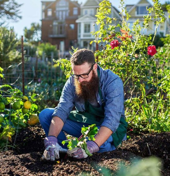 Growing plants